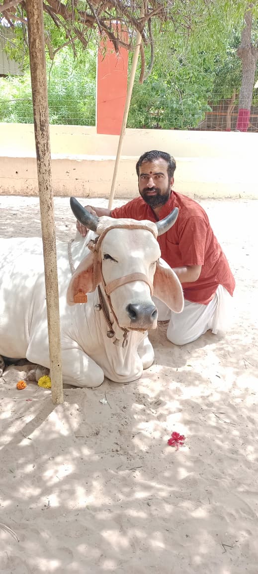 રાજેશકુમાર જોષી